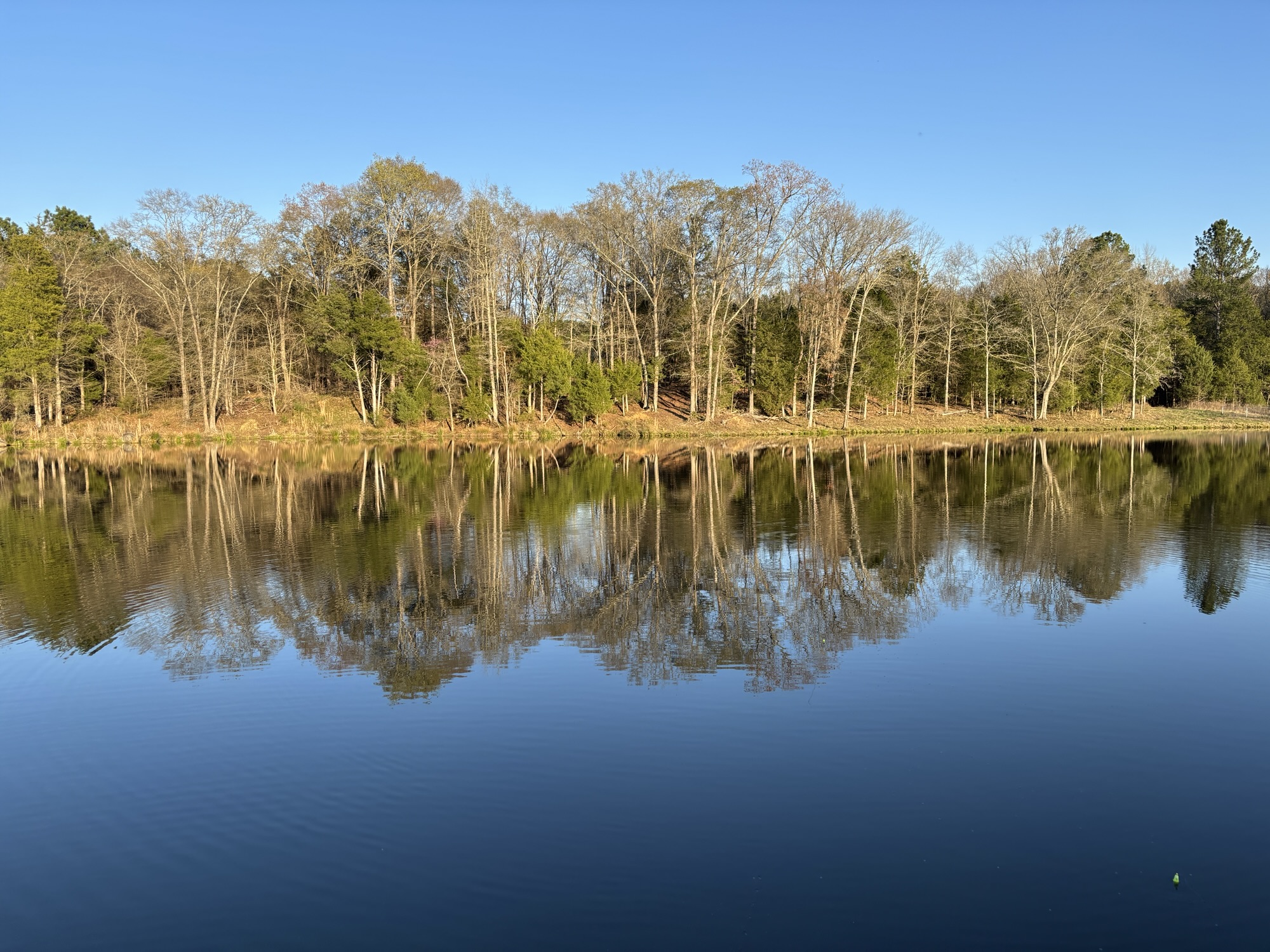 Simpson Pond 2