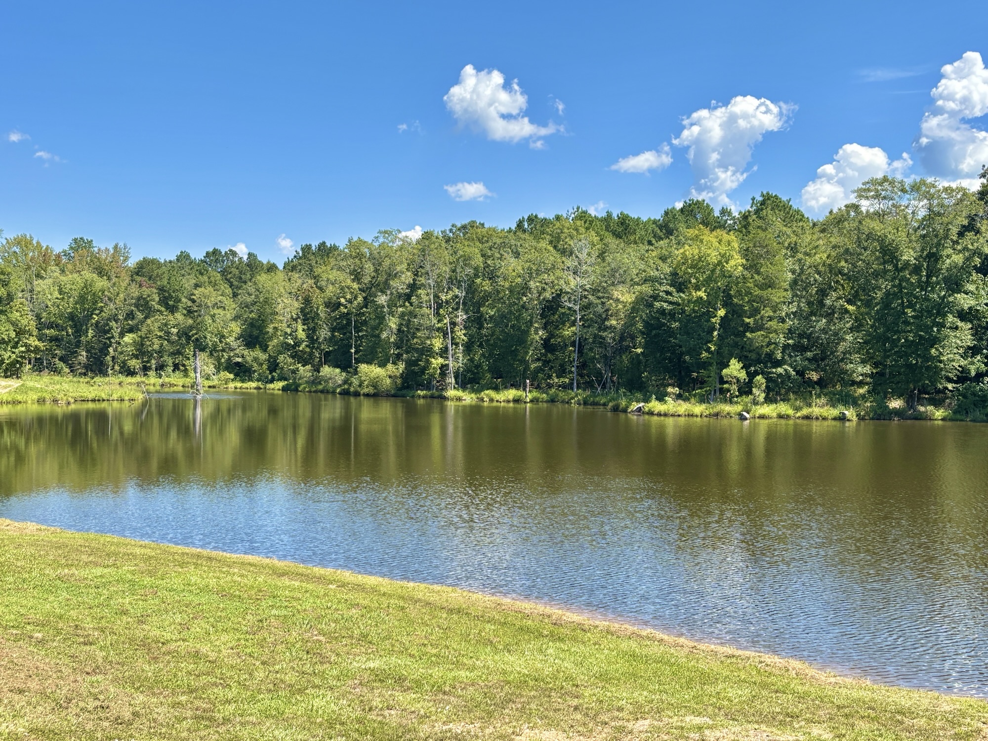 Simpson pond project