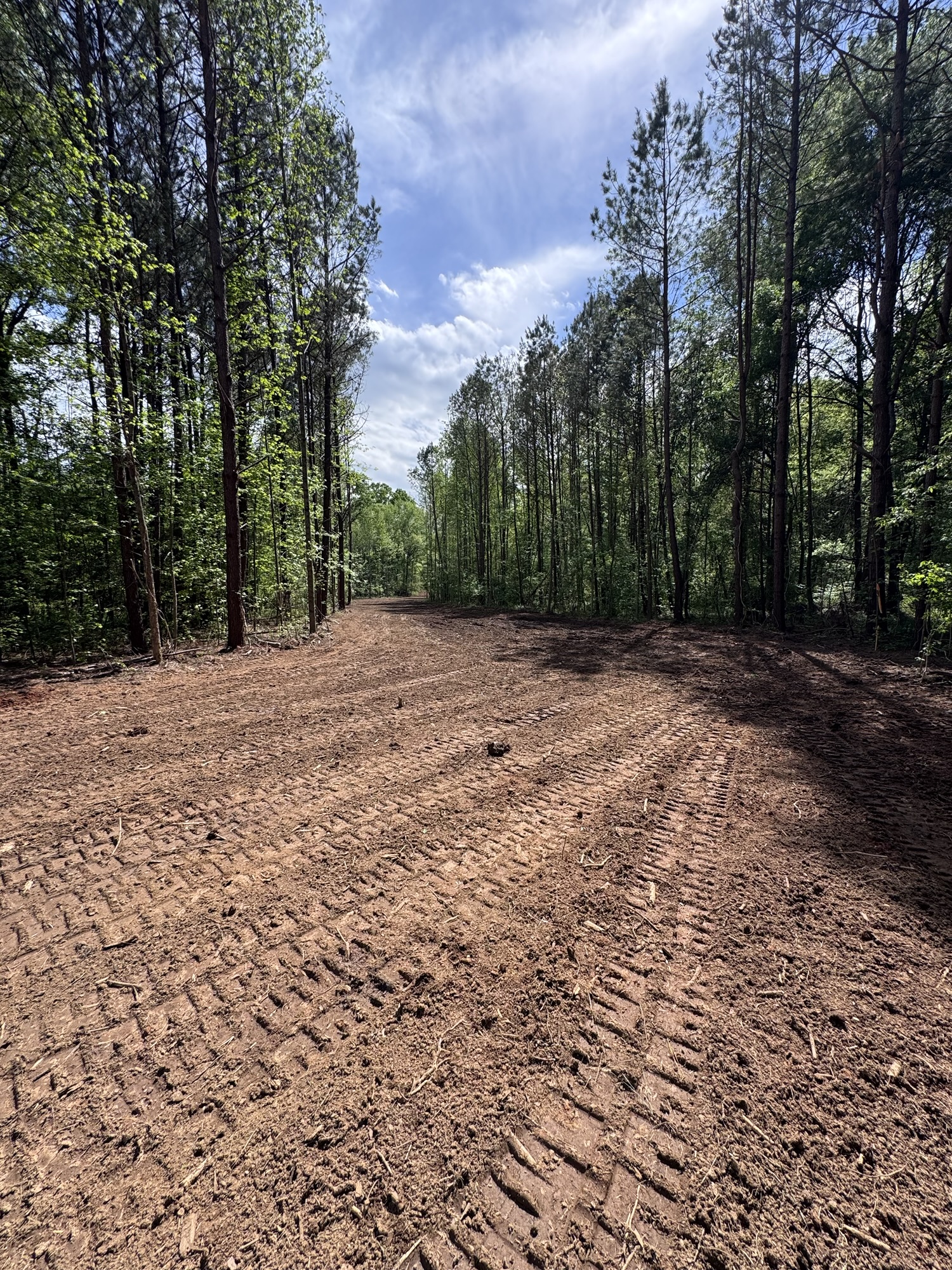 Grading and land clearing project